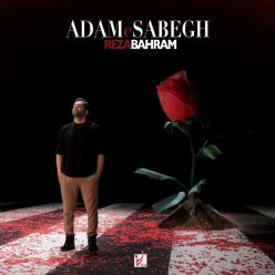 Player Cover